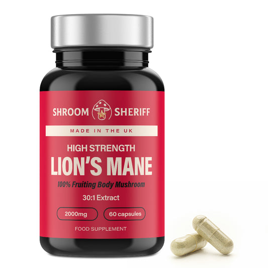 Lions Mane Supplement