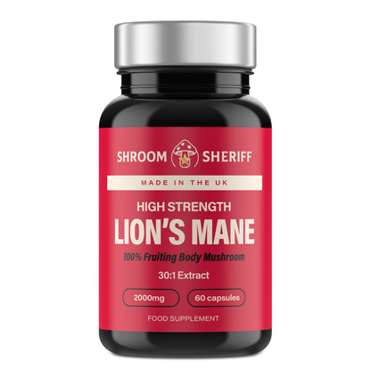 Lions Mane Supplement